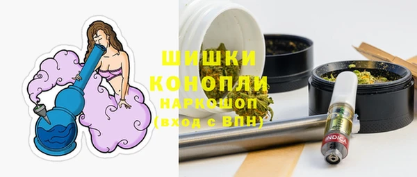 прущие грибы Володарск