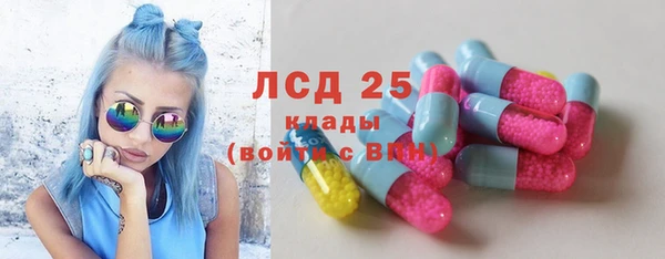 прущие грибы Володарск