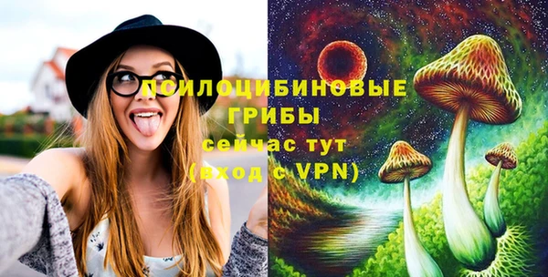 герыч Тавда