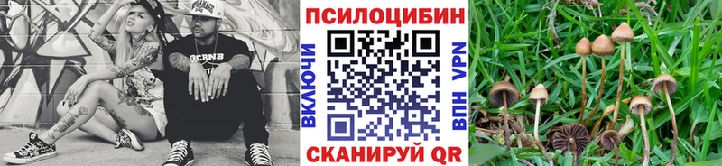 Псилоцибиновые грибы Cubensis Емва